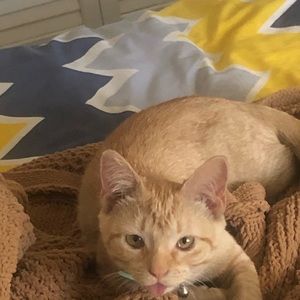 Meet your Posher, Hailey